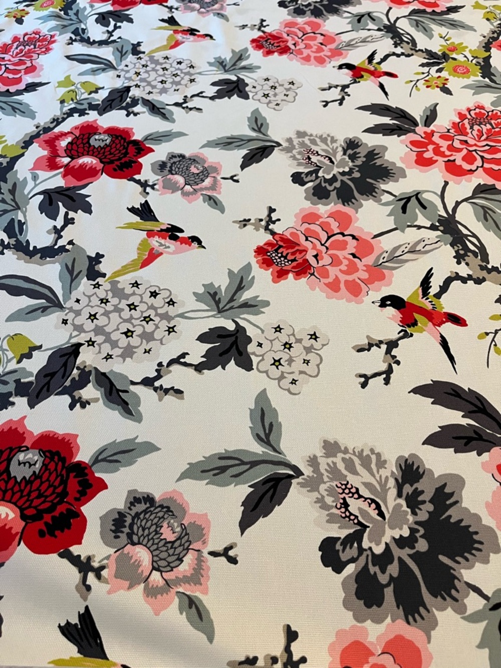 Waverly Candid Moment Birds Ebony Cotton Upholstery Fabric - Sold by the Yard